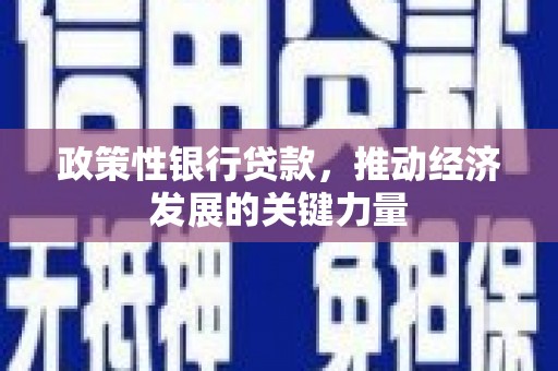 于洪政策性银行贷款，推动经济发展的关键力量
