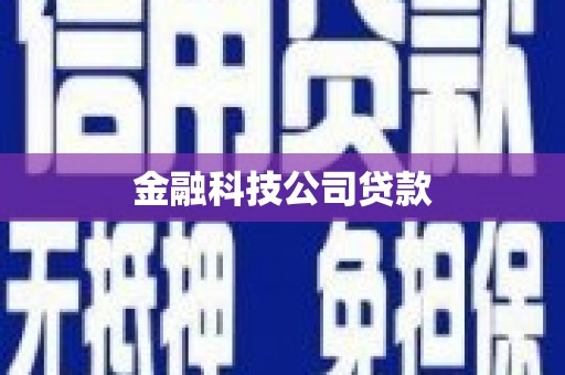 于洪金融科技公司贷款