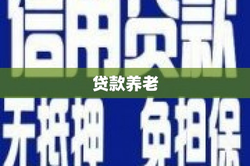 于洪贷款养老