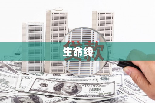 于洪生命线