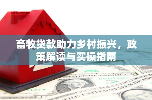于洪畜牧贷款助力乡村振兴，政策解读与实操指南