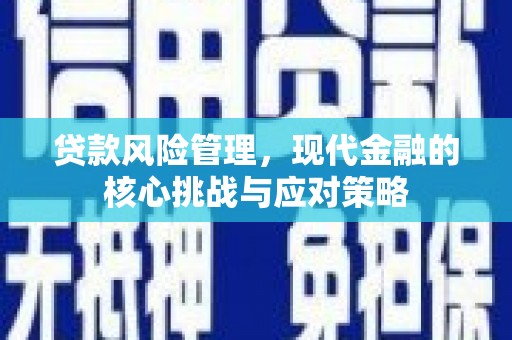 于洪贷款风险管理，现代金融的核心挑战与应对策略