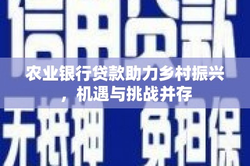 于洪农业银行贷款助力乡村振兴，机遇与挑战并存