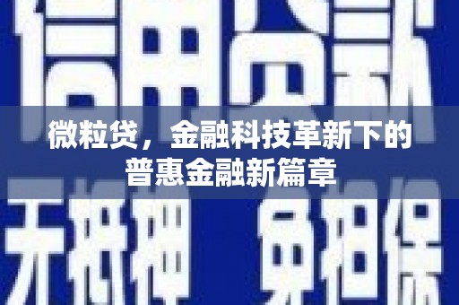 于洪微粒贷，金融科技革新下的普惠金融新篇章