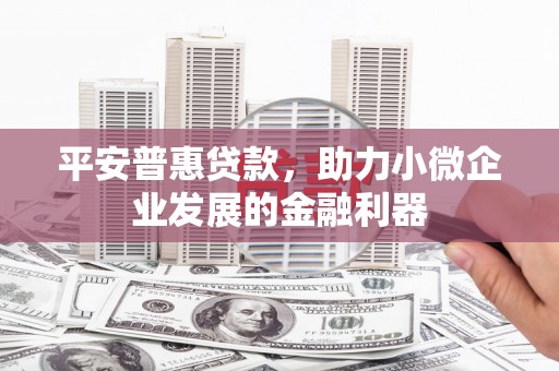 于洪平安普惠贷款，助力小微企业发展的金融利器
