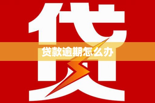 于洪贷款逾期怎么办