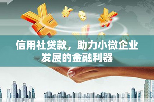 于洪信用社贷款，助力小微企业发展的金融利器