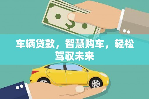 于洪车辆贷款，智慧购车，轻松驾驭未来