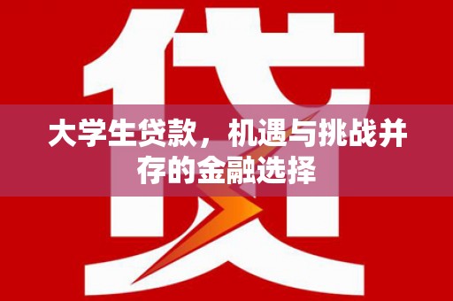 于洪大学生贷款，机遇与挑战并存的金融选择