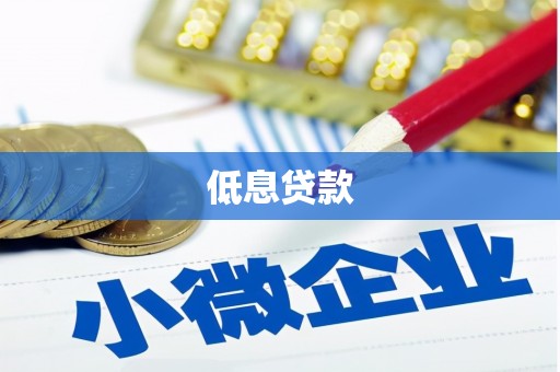 于洪低息贷款
