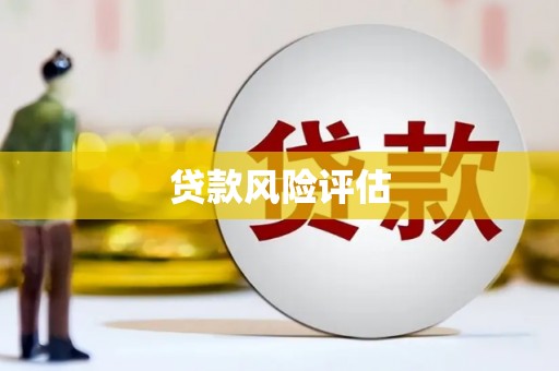 于洪贷款风险评估