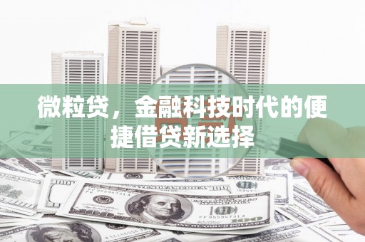 于洪微粒贷，金融科技时代的便捷借贷新选择