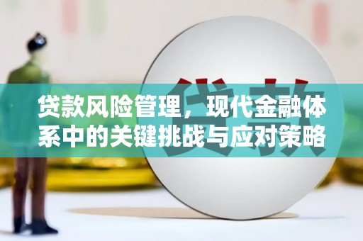于洪贷款风险管理，现代金融体系中的关键挑战与应对策略