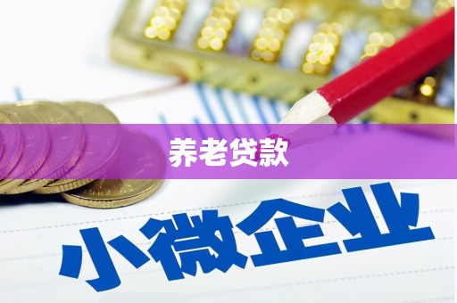 于洪养老贷款