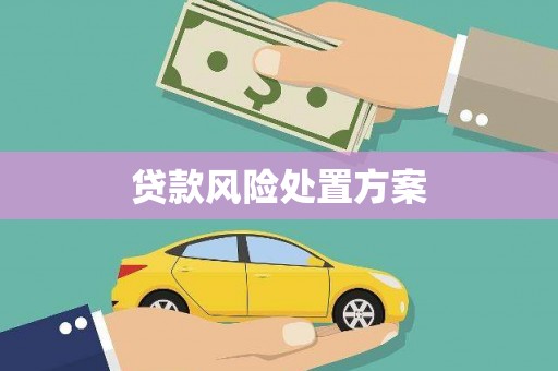 于洪贷款风险处置方案