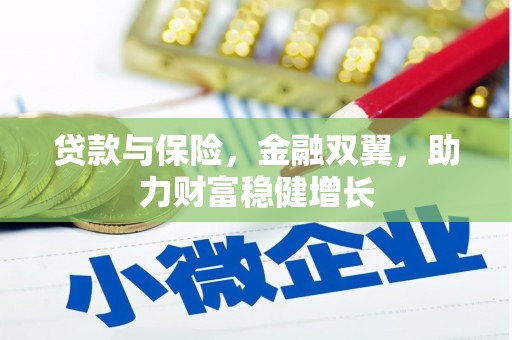 于洪贷款与保险，金融双翼，助力财富稳健增长