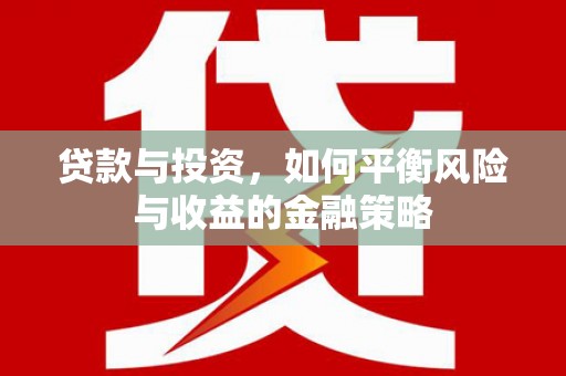于洪贷款与投资，如何平衡风险与收益的金融策略