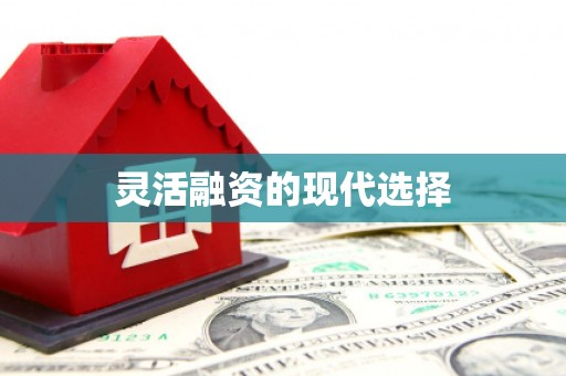 于洪灵活融资的现代选择