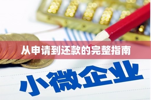 于洪从申请到还款的完整指南
