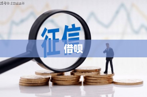 于洪借呗