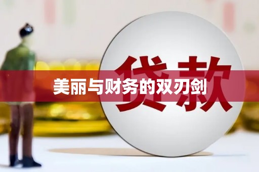 于洪美丽与财务的双刃剑