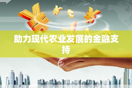 于洪助力现代农业发展的金融支持
