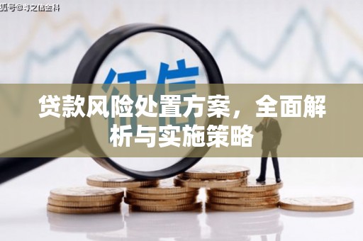 于洪贷款风险处置方案，全面解析与实施策略