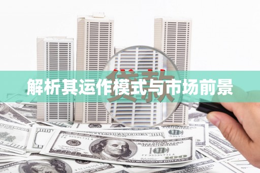 于洪解析其运作模式与市场前景