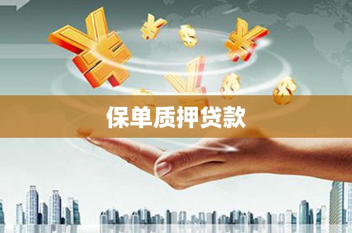 于洪保单质押贷款