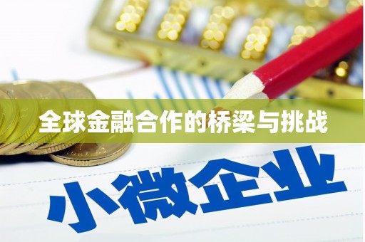 于洪全球金融合作的桥梁与挑战