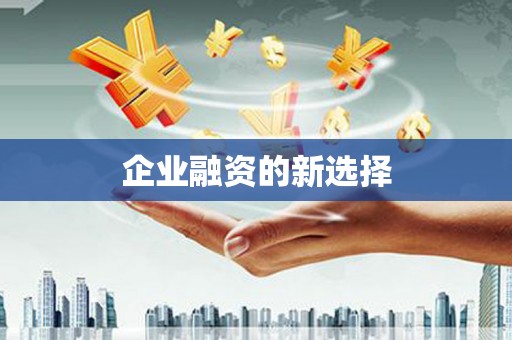 于洪企业融资的新选择