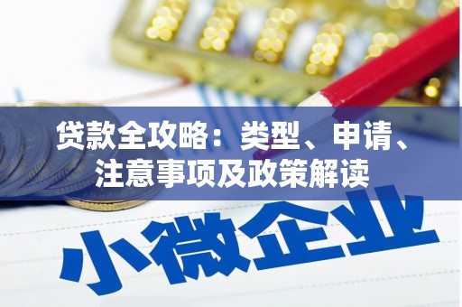 于洪贷款全攻略：类型、申请、注意事项及政策解读