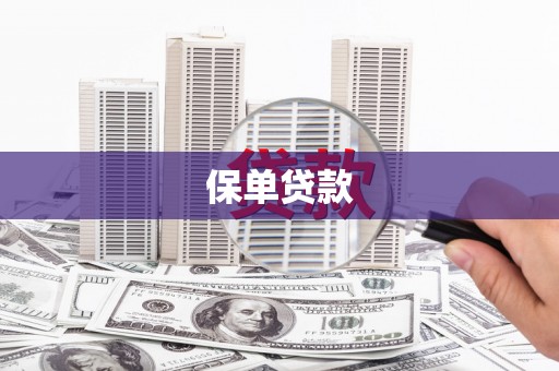 于洪保单贷款